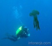 110926-192313-cce766682095