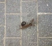 130506-195737-cce766682095