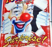 5491-circo2