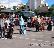 141110-195444-cce766682095
