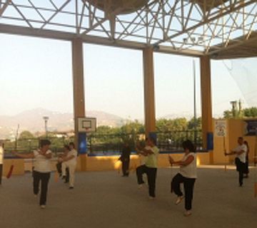 XII Seminario de Taichí Xin Yi