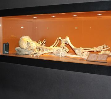 El Museo de Nerja aborda la restauración de “Pepita”