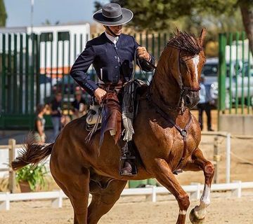 I Concurso de Doma de Campo Ciudad de Nerja