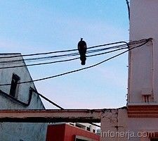 160211-111008-3f0a425cccb0