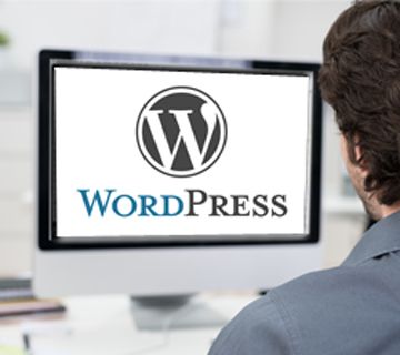 infonerja-wordpress
