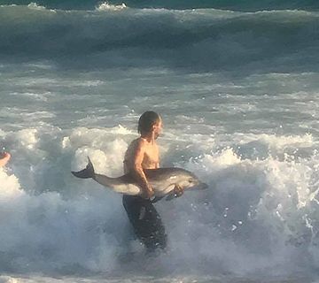 Rescatan un delfín en la playa de El Playazo