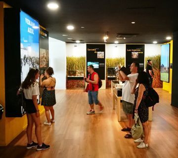 El Museo bate récords de visitas en verano