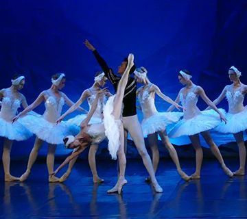 El Lago de los Cisnes vuelve al Centro Cultural