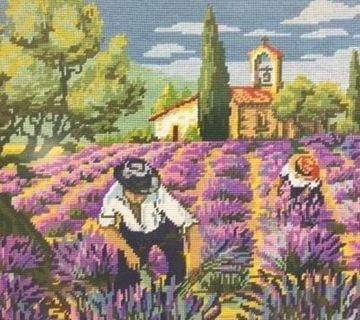 Exposición benéfica a favor de AECC
