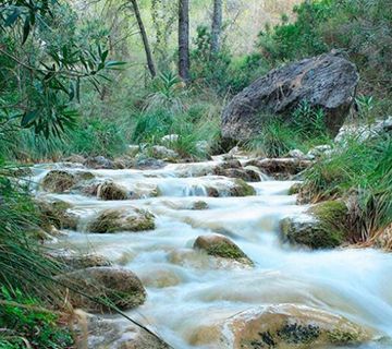 Empresarios y regantes de Nerja y Frigiliana rechazan el trasvase de agua