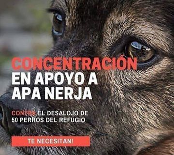 Nueva convocatoria para la manifestación en apoyo de APA Nerja