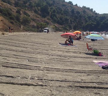 Denuncian la destrucción de un hábitat de interés comunitario en Maro