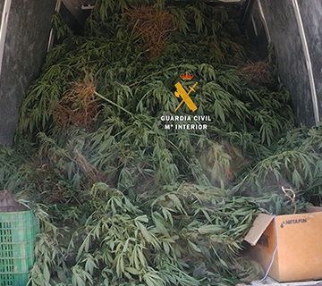 La Guardia Civil detiene a 4 personas por cultivo y elaboración de marihuana