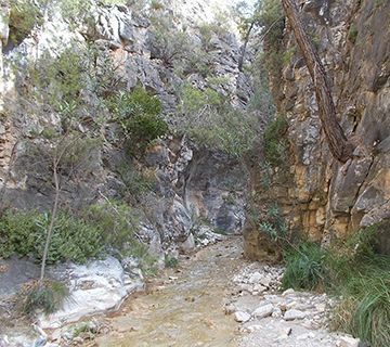 Rescatan a una pareja de excursionistas en la Sierra de Frigiliana