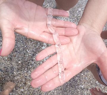 Las salpas inundan las playas de Nerja