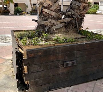 Nuevas jardineras para la Plaza de España