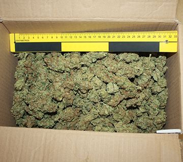La GC detiene a una persona e interviene 4 kg de marihuana