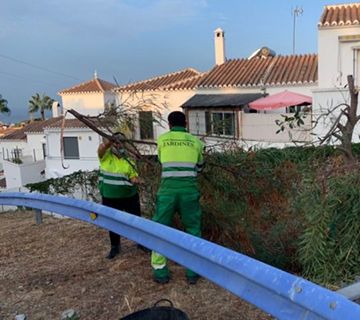 Contratación de un capataz para el servicio de jardinería