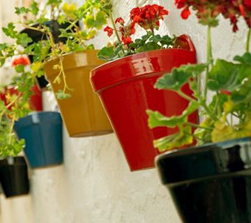 Se plantan de más de 1.000 flores en espacios públicos