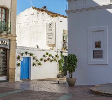 El miércoles se conocerá el proyecto ganador de la nueva Biblioteca