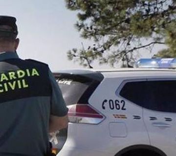 Fallece un trabajador tras caer sobre él la palmera que talaba