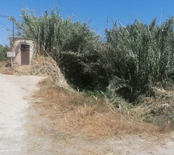 Limpieza y desbroce del río Seco y Barranco del Puerto