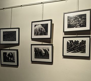 Exposición fotográfica de Ana Golpe