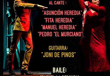 Noche de flamenco en el CCVN