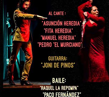 Noche de flamenco en el CCVN