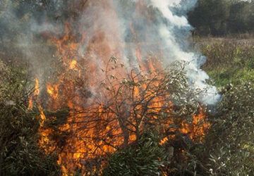 La Junta suspende temporalmente las quemas agrícolas