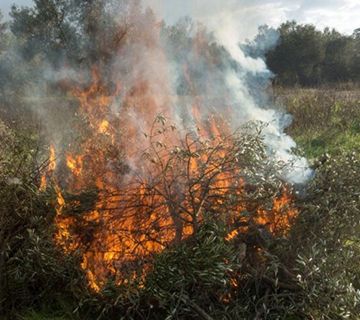 La Junta suspende temporalmente las quemas agrícolas