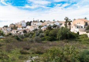 Sale a licitación el Proyecto ambiental del Anillo Verde