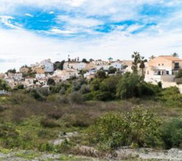 Sale a licitación el Proyecto ambiental del Anillo Verde