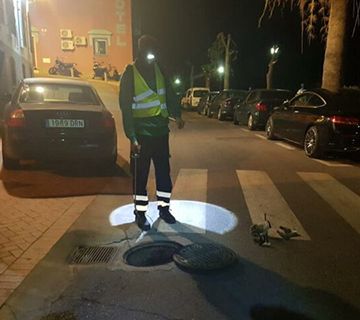 Se intensifica la desinsectación y desratización