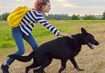 Convenio para crear el registro de animales de compañía