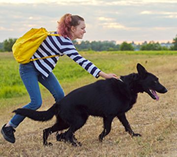 Convenio para crear el registro de animales de compañía