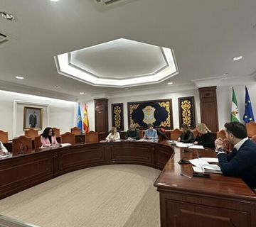 Se crea el grupo de Interconcejalías por la Igualdad