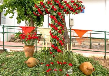 Plazo de inscripción para las Cruces de mayo