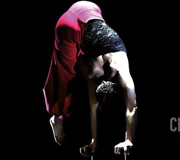 VIII Festival Teatro Circo de Málaga
