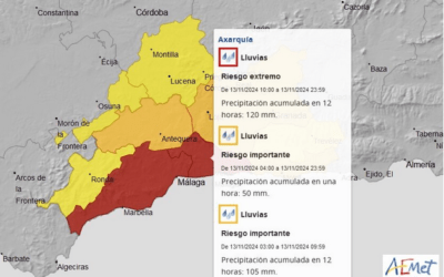 Resumen de reunión de activación del Plan de Emergencia Municipal de Nerja.