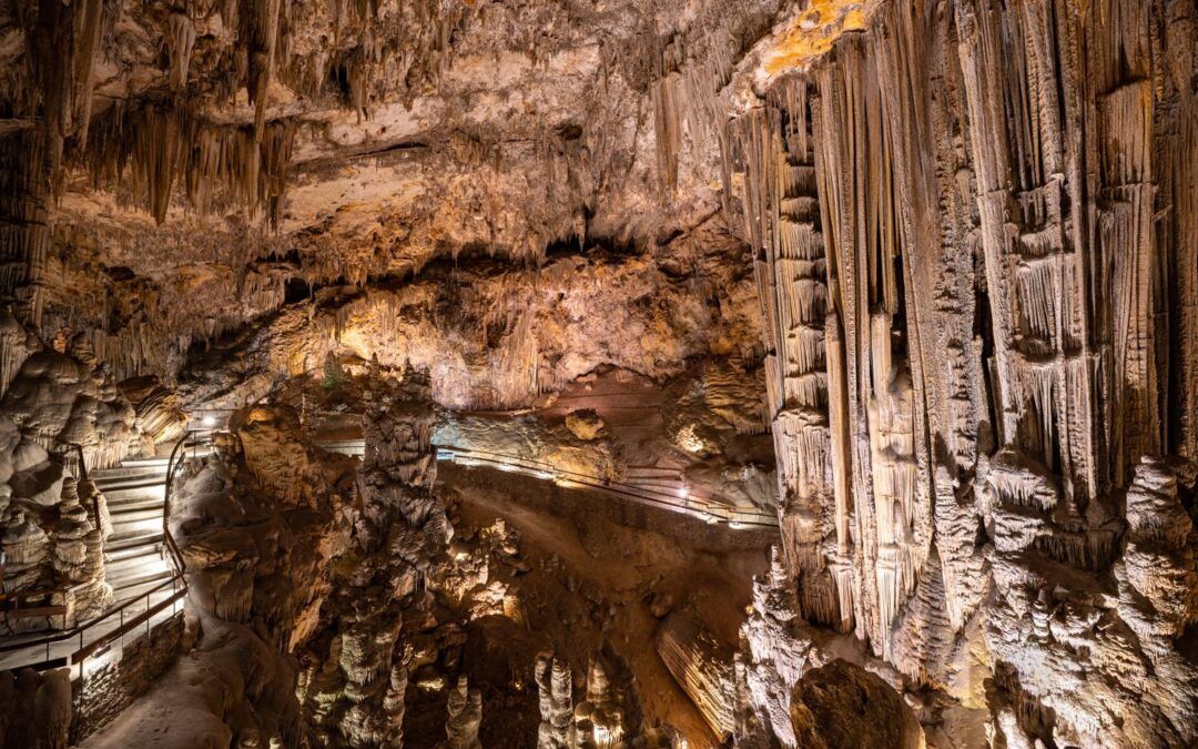 La Fundación Cueva de Nerja aprueba un ambicioso presupuesto para 2025