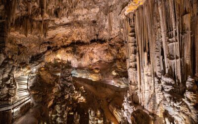 La Fundación Cueva de Nerja aprueba un ambicioso presupuesto para 2025