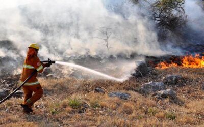 Detenido un agricultor por el incendio que calcinó 600 hectáreas en Nerja y Almuñécar