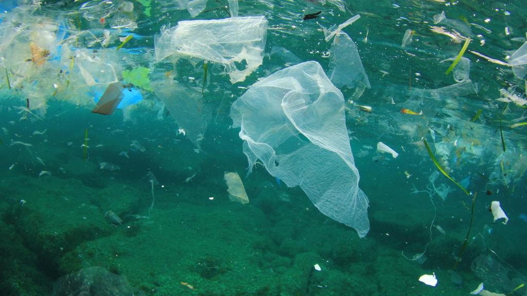 La contaminación química amenaza las playas de Nerja y su biodiversidad