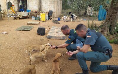 Rescate de Animales Maltratados en Nerja y la Axarquía: 195 Animales en Situación Crítica