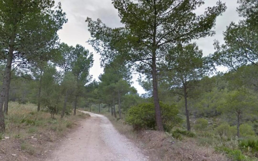 Ecologistas rechazan el proyecto urbanístico en el Barranco de la Coladilla
