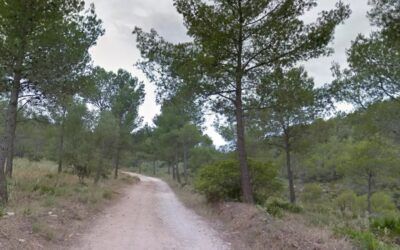 Ecologistas rechazan el proyecto urbanístico en el Barranco de la Coladilla