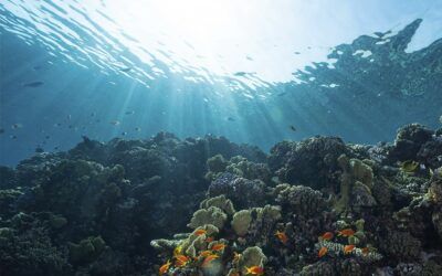 El mar en la Prehistoria: un seminario del Instituto Cueva de Nerja