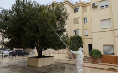 Nerja refuerza el control de la oruga procesionaria