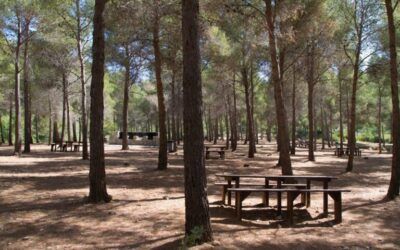 Cierre temporal de El Pinarillo desde el 1 de junio por riesgo de incendios